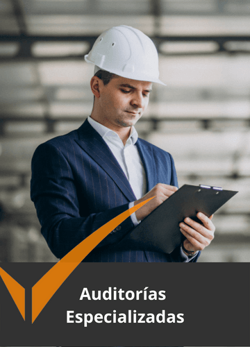 Auditorías Especializadas